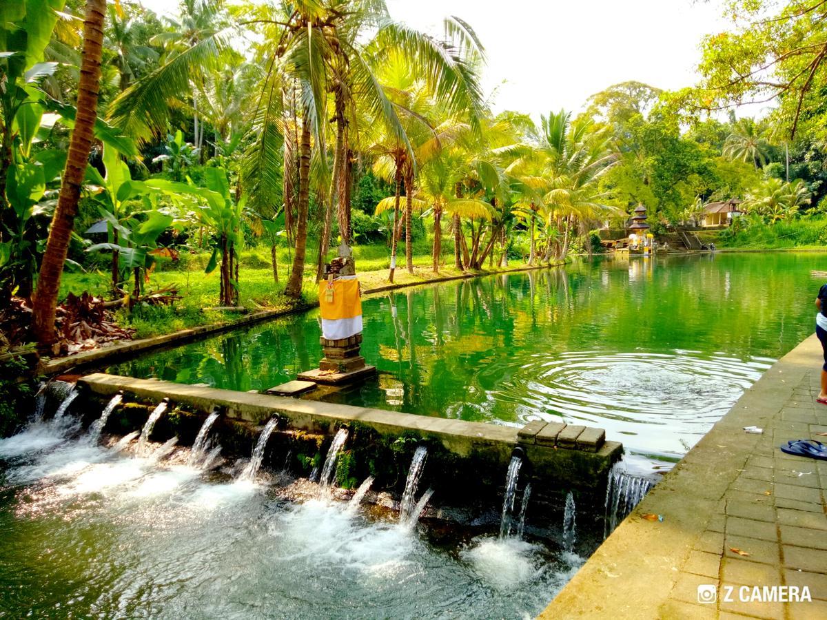 Villa Amara Giri 1 Ubud Exterior foto