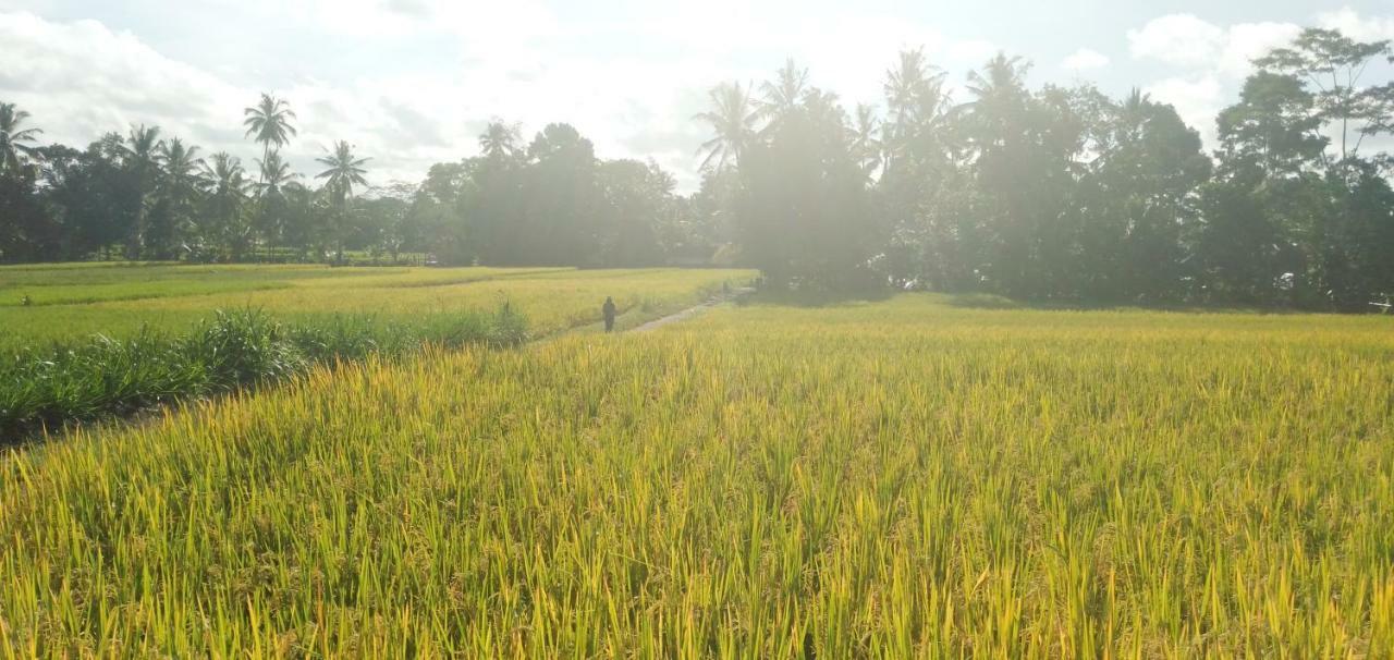 Villa Amara Giri 1 Ubud Exterior foto